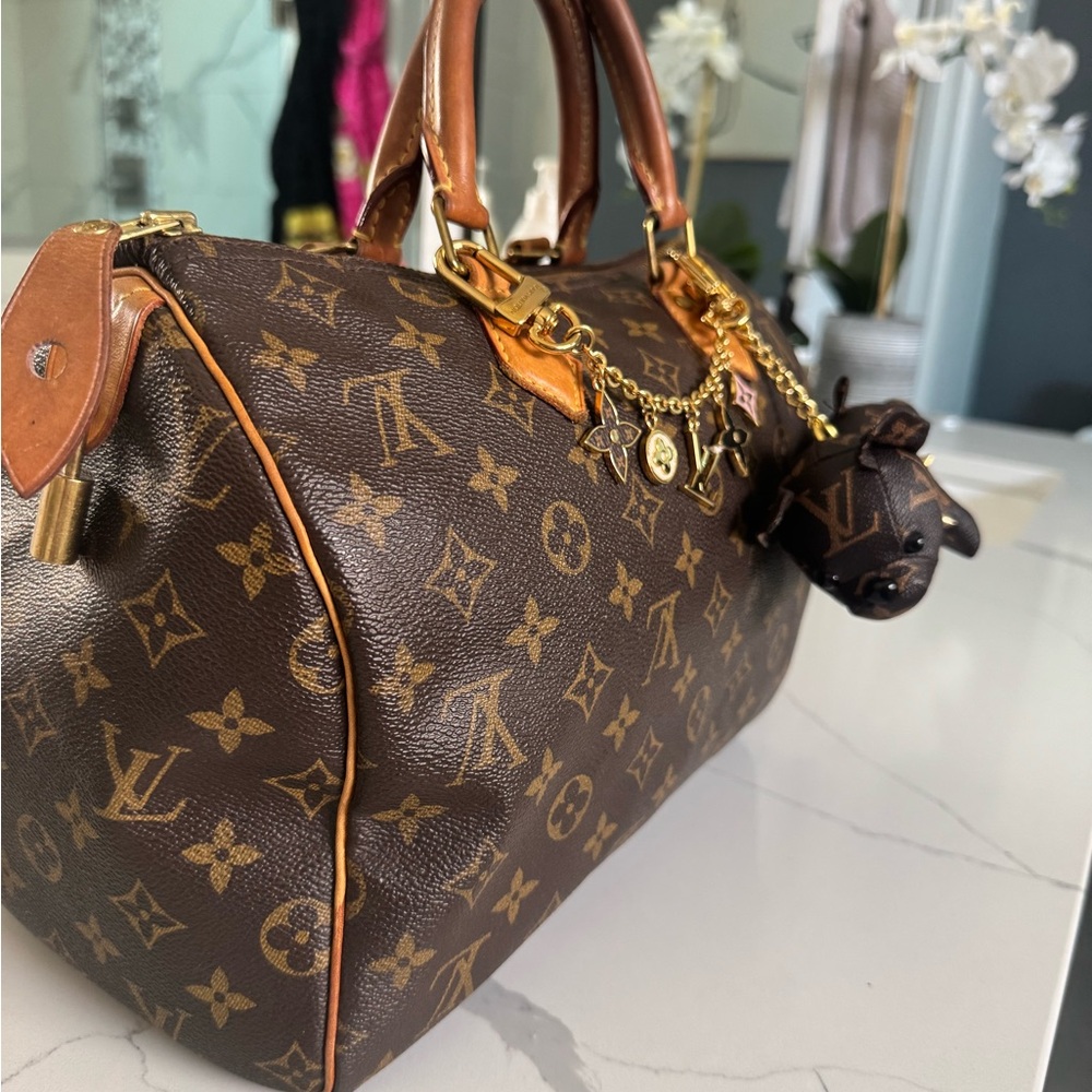Louis Vuitton Brown Interior with Tan Trim - Picture 12 of 12